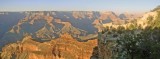 Las Vegas Grand Canyon Tours south rim